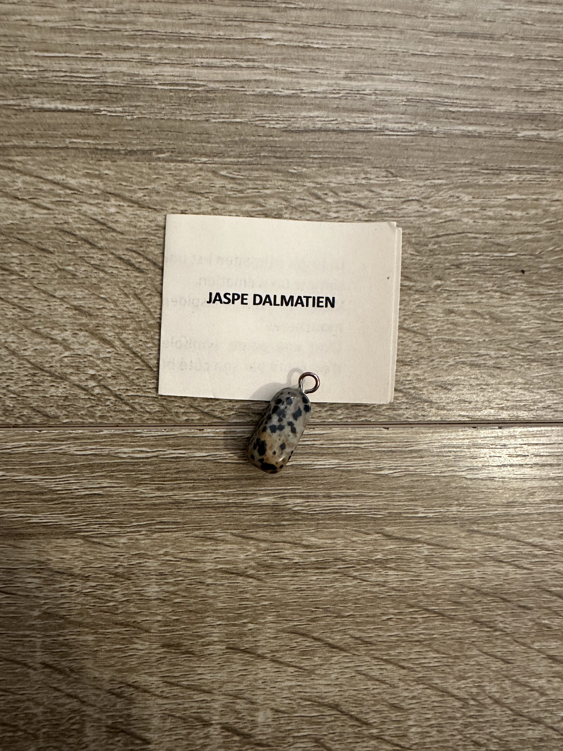 Jaspe Dalmatien
