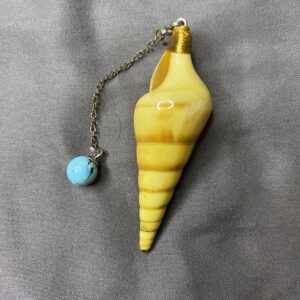Pendule en coquillage